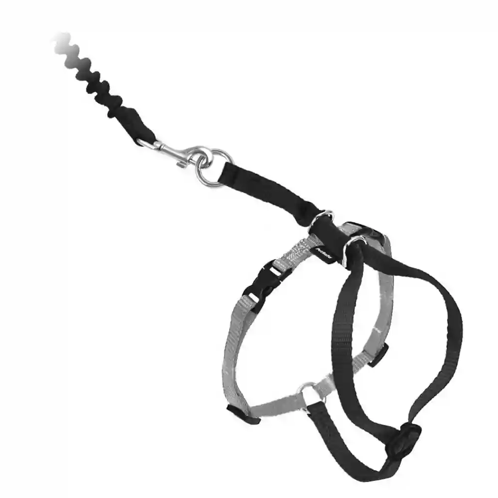 Come W/ Me Kitty Small Black