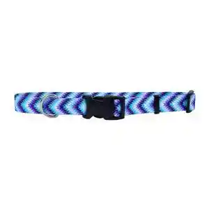 1"Attire Collar Tpd