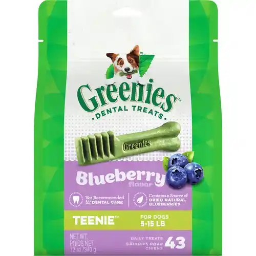 Greenies Blueberry 12oz Teenie