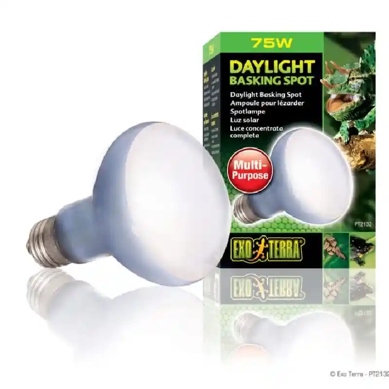 Exo-Terra Exo Terra Day Bask Lamp 75W by Rolf C. Hagen, Inc