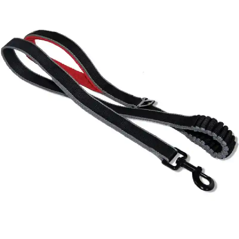 Springback Leash Blk/Red 48"