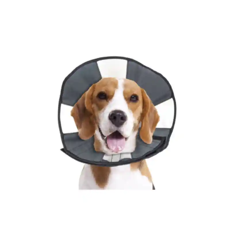 ZenCone Medium