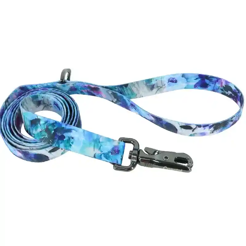 1" Inspire Fashion Leash RAF 6'