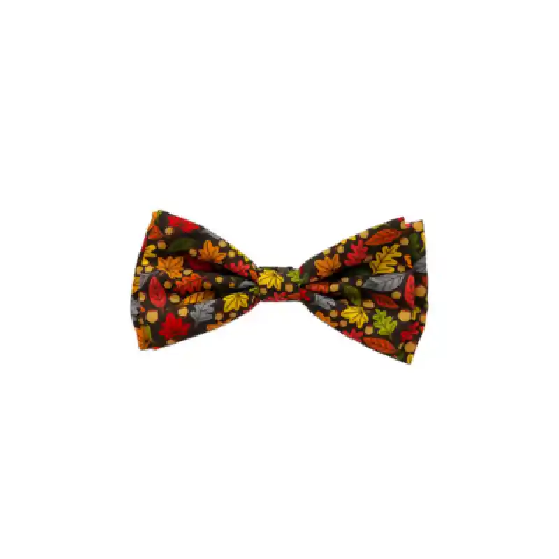 H&K Leaves & Nuts Bowtie Sm