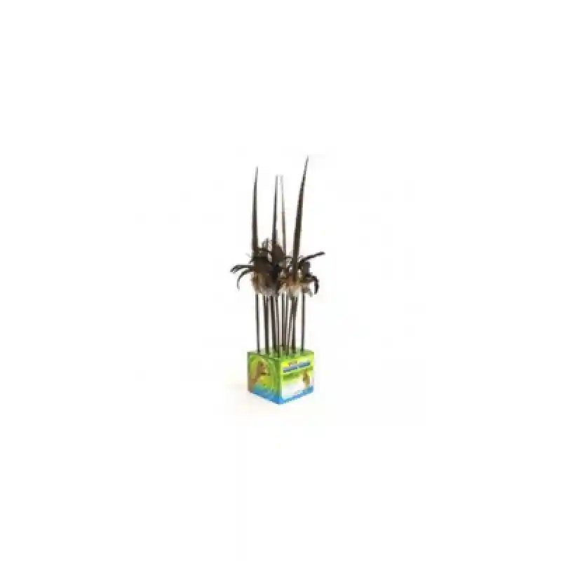 Wonder Wand Wild