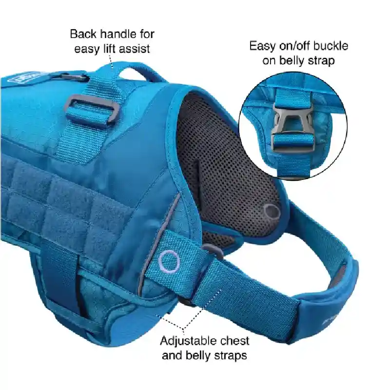 Rsg Townie Harn Blue Lg