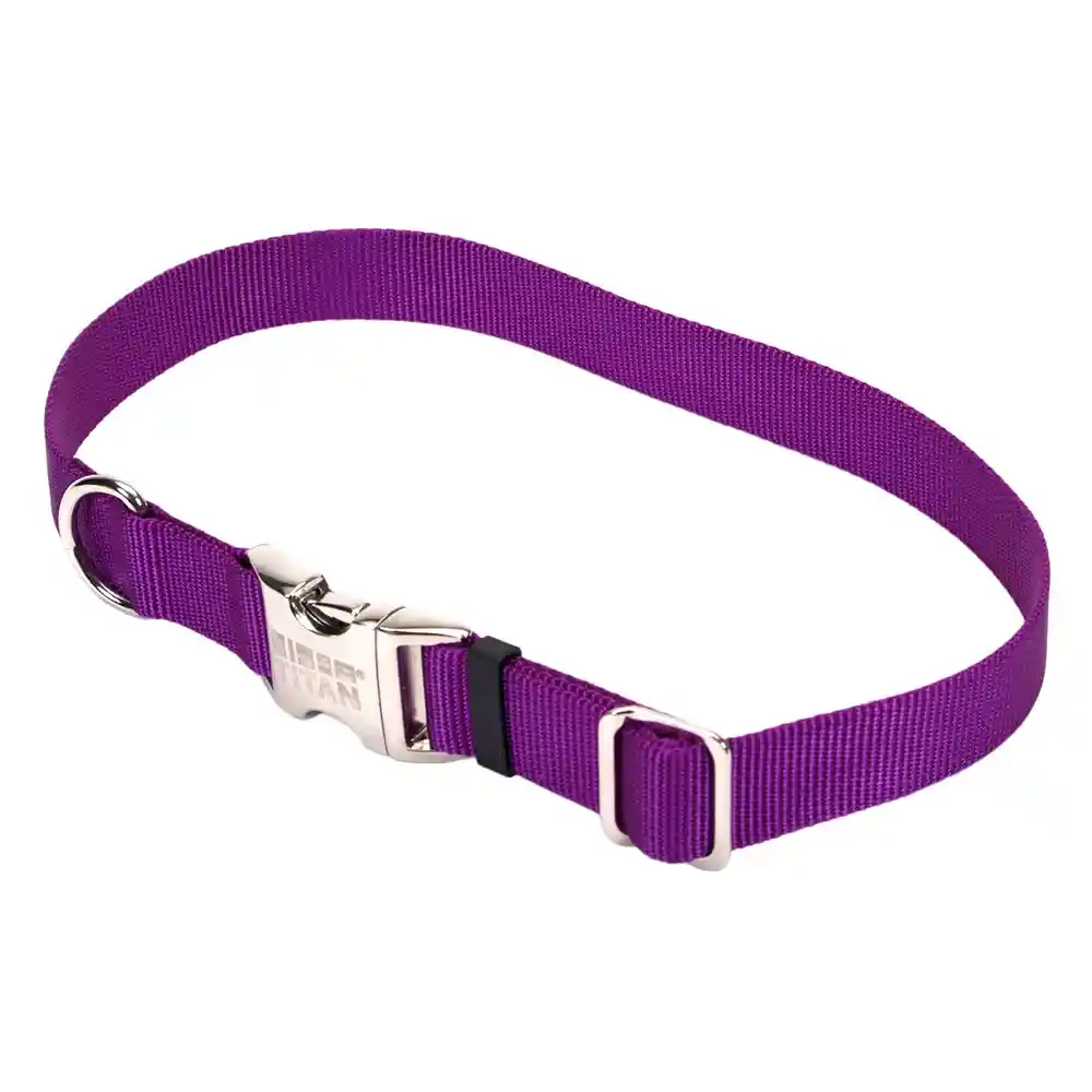 3/4" Metal Bkl Collar Purple