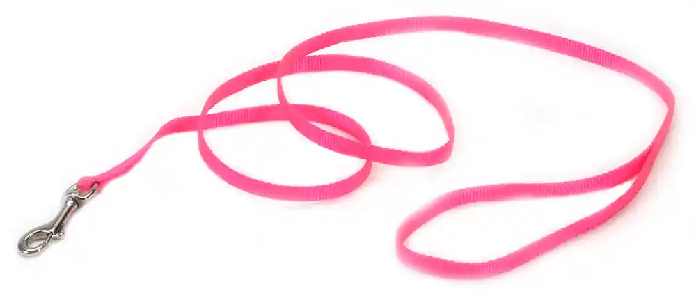 Lead 3/8" Nylon Web 6ft Neon P