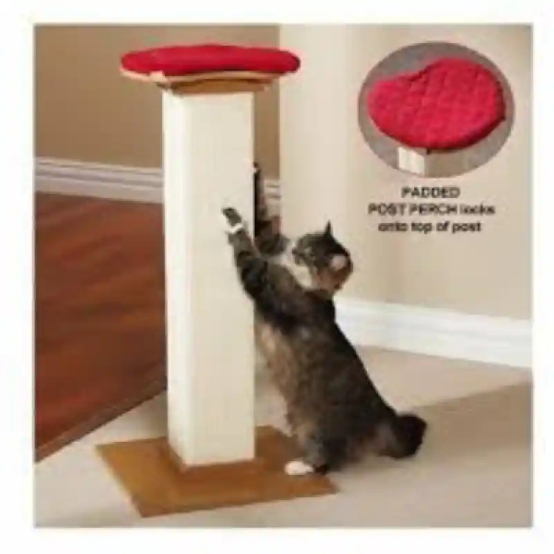 Ultimate Post Perch With Pad