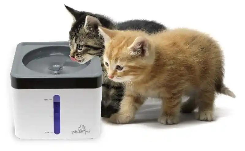 Pioneer Mini Vortex Fountain 80oz