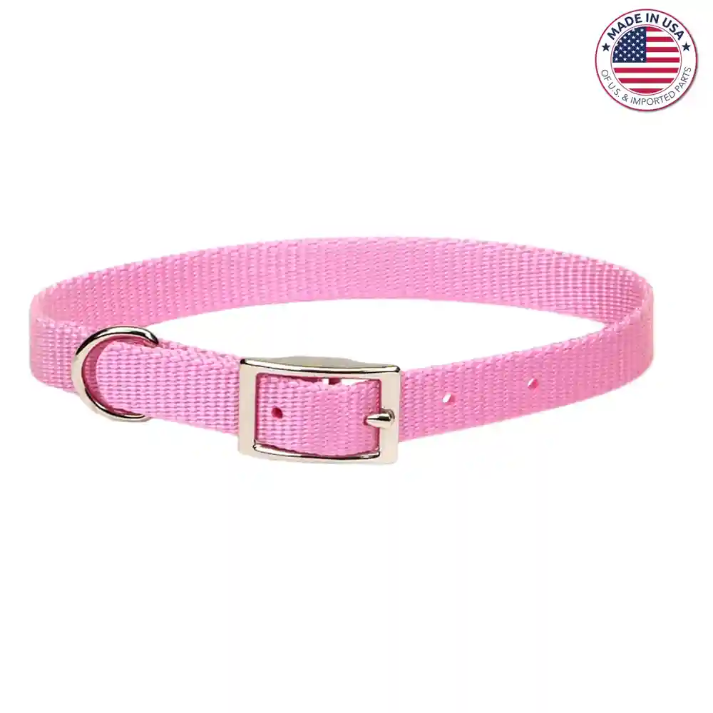 Single Ply Dog Collar - Pink Bright Sml 3/8" X 12"