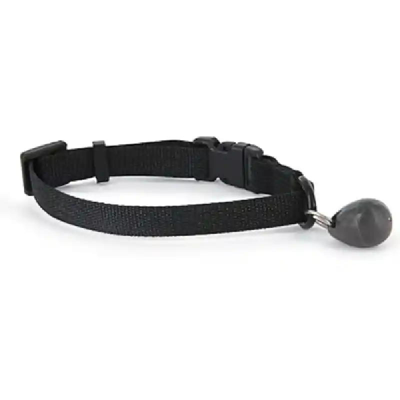 Staywell Magnetic Collar Key