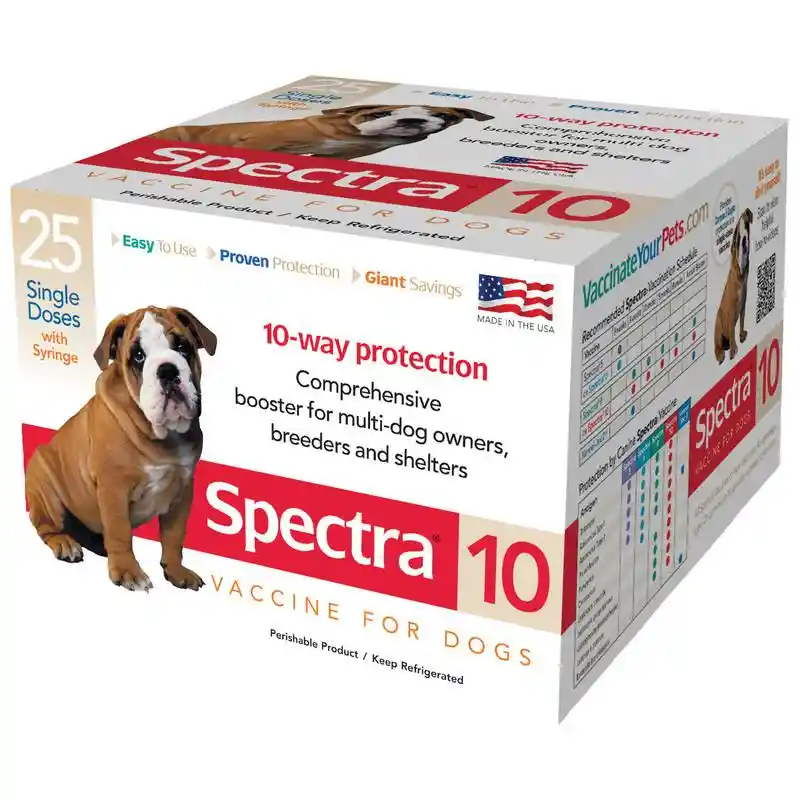 Canine Spectra 10 - 1 dose with Syringe