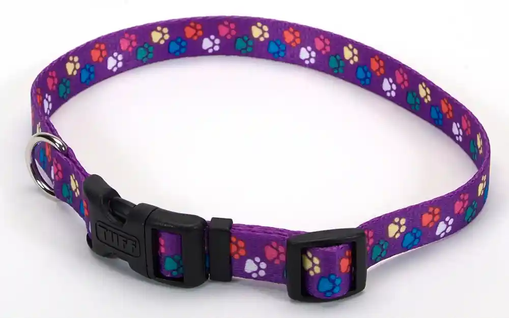 1"Attire Collar Spw