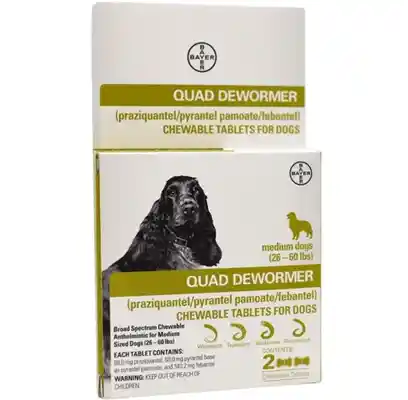 Quad Dewormer Medium Dog 2ct