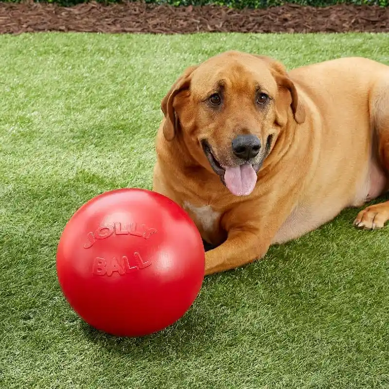 Jolly Ball Push N Play 10" Blue