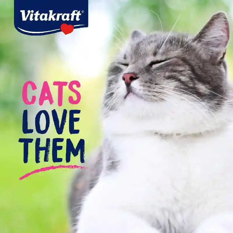 Vitak Cat Purrsticks 6pk Ckn