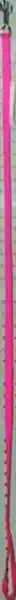 Single Ply Dog Leash - Neon Pink 5/8" X 4'