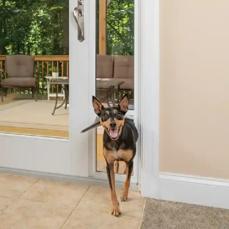 Pet Safe Patio Panel Satin Sm