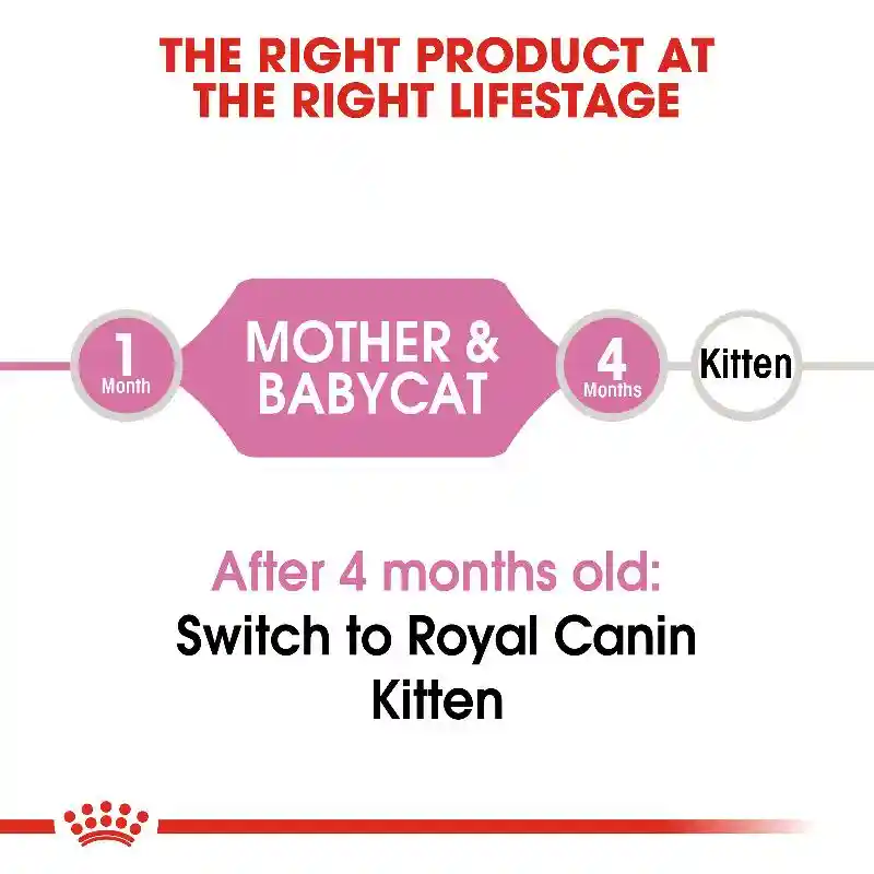 Royal Canin Mother Baby Cat 6lb