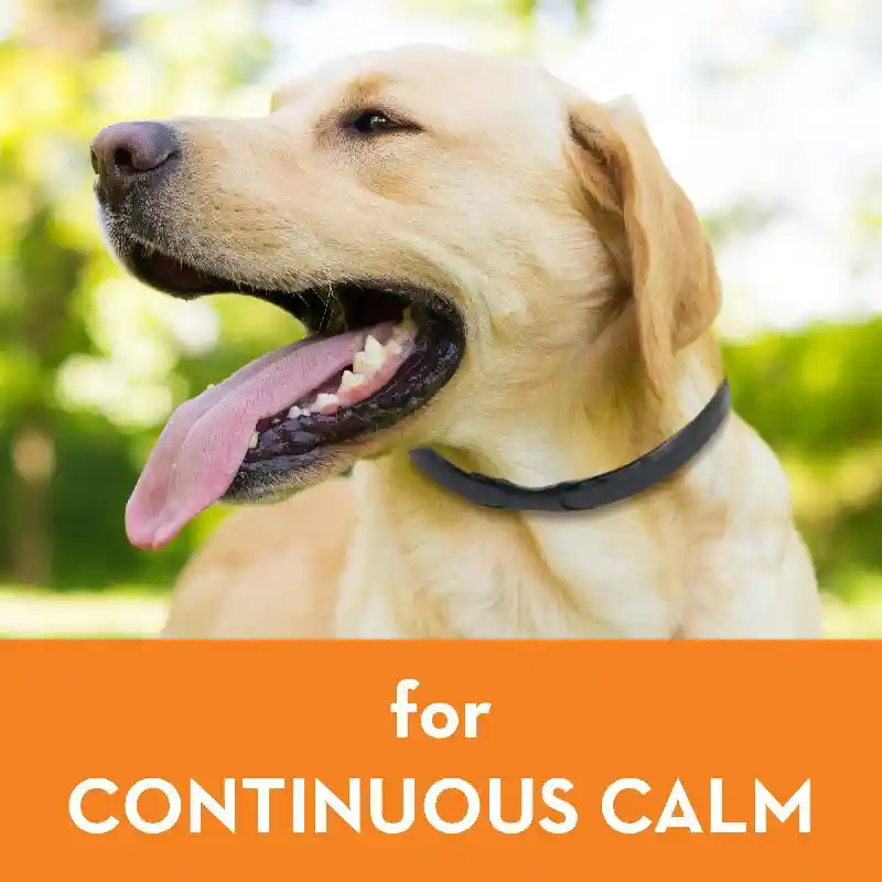 ThunderEase Dog Collar Calming Large