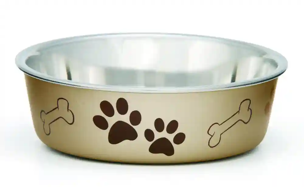 Bella Bowl Champagne Large