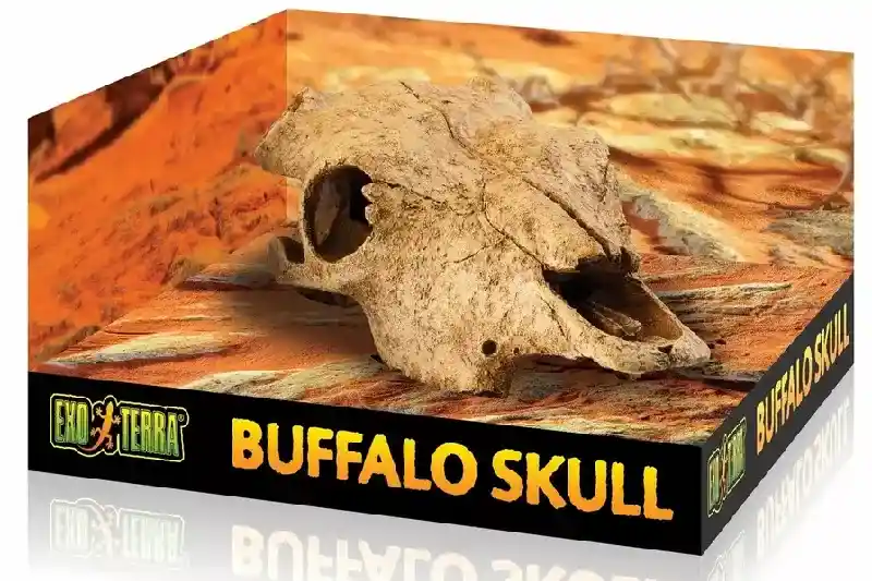 Exo-terra Terrarium Decor, Buffalo Skull;