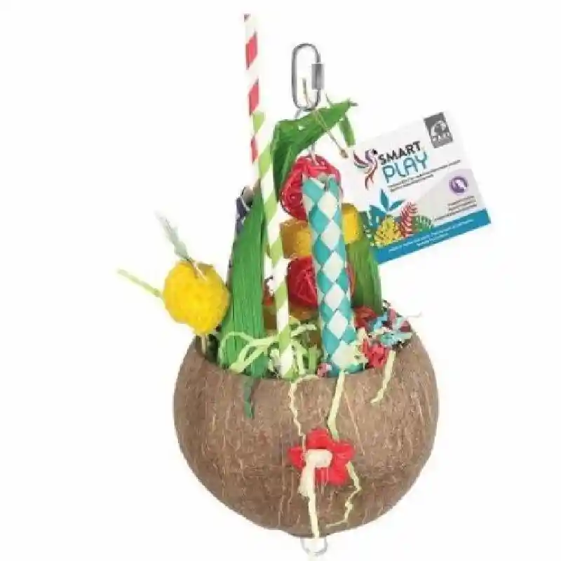 Hari Smart Play, Colada