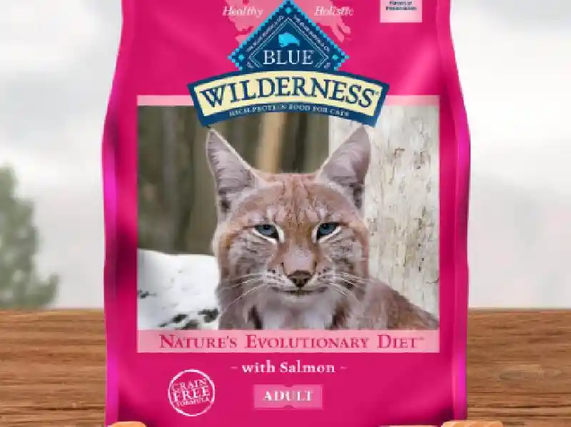 Blue Wilderness Salmon Cat 11l