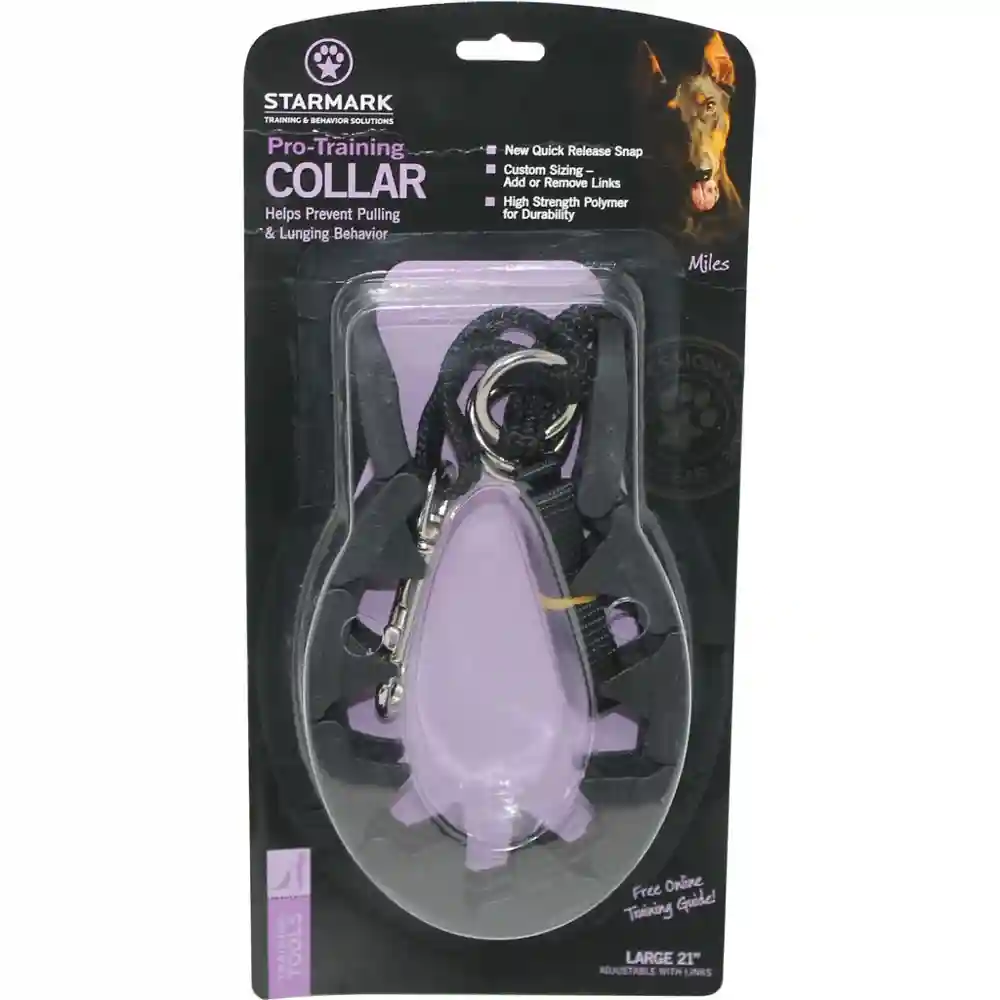 Pro-Training Collar Large