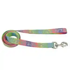 5/8" Reflect Leash 6' Hrw