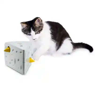 Petsafe Cheese Toy