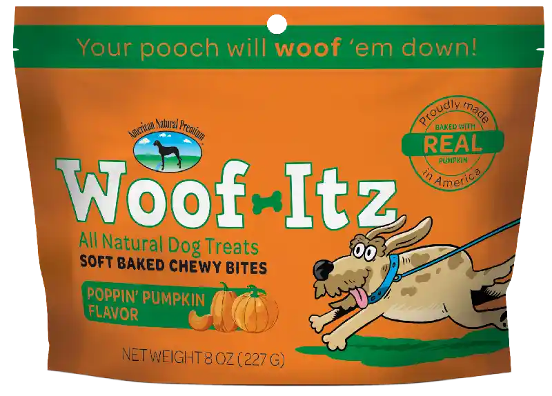 Woof-itz Poppin' Pumpkin