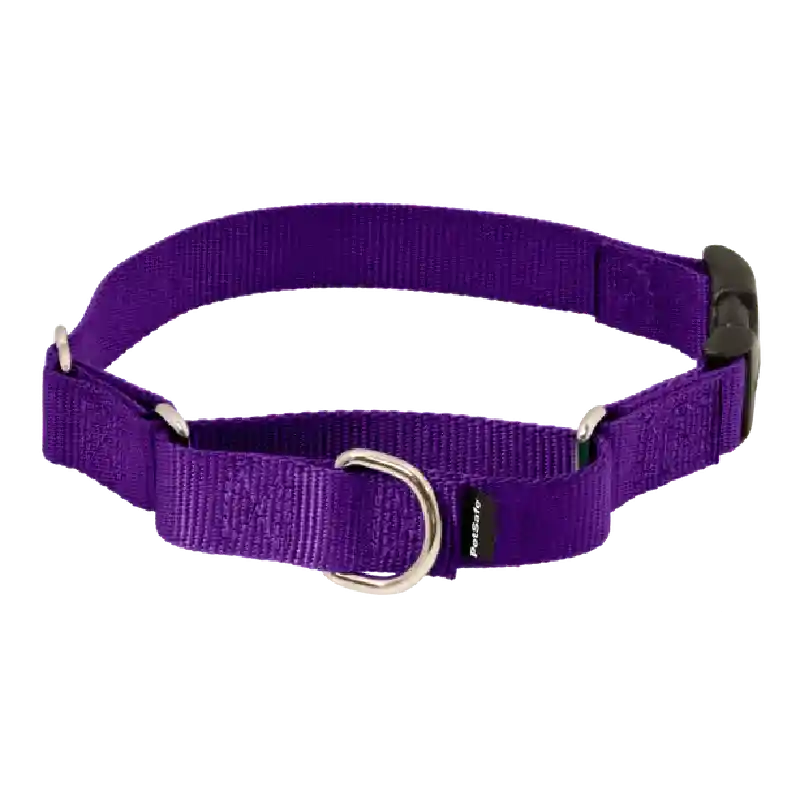Petsafe Martingale Quick Snap Md 3/4 Purp