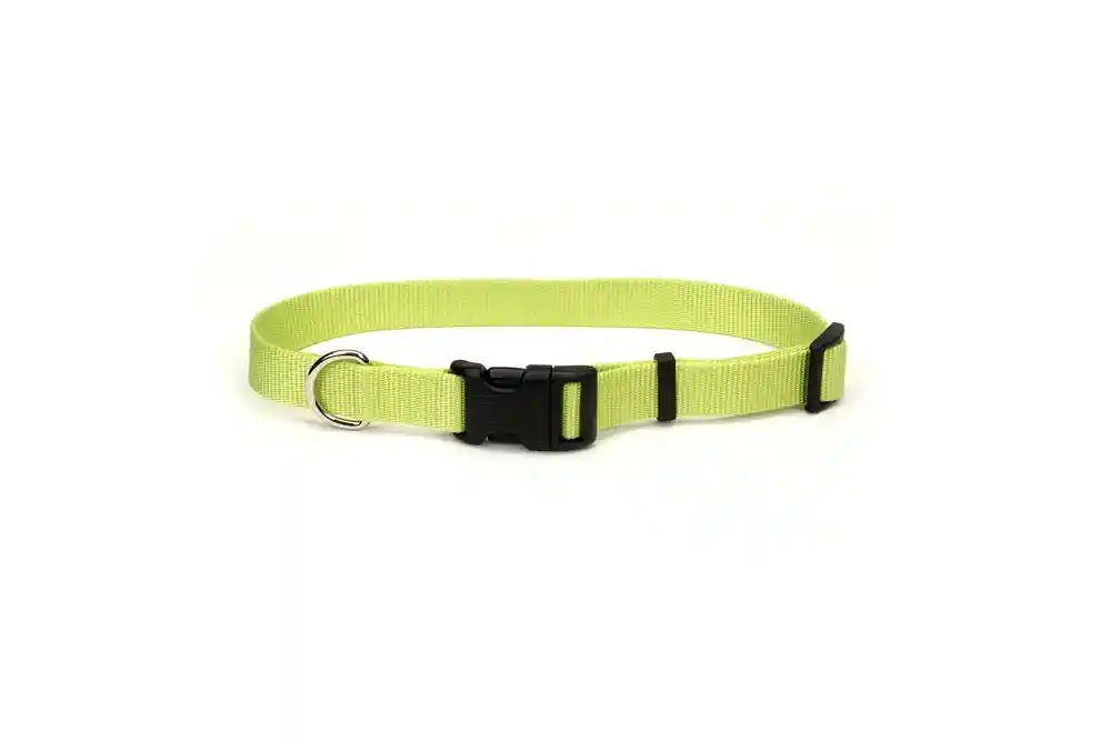 Adj Collar Large Lime