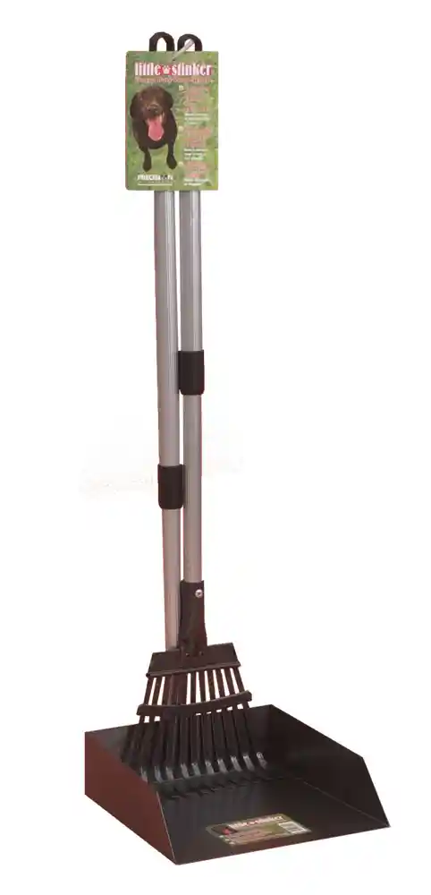 Poop Scoop Rake & Pan Small