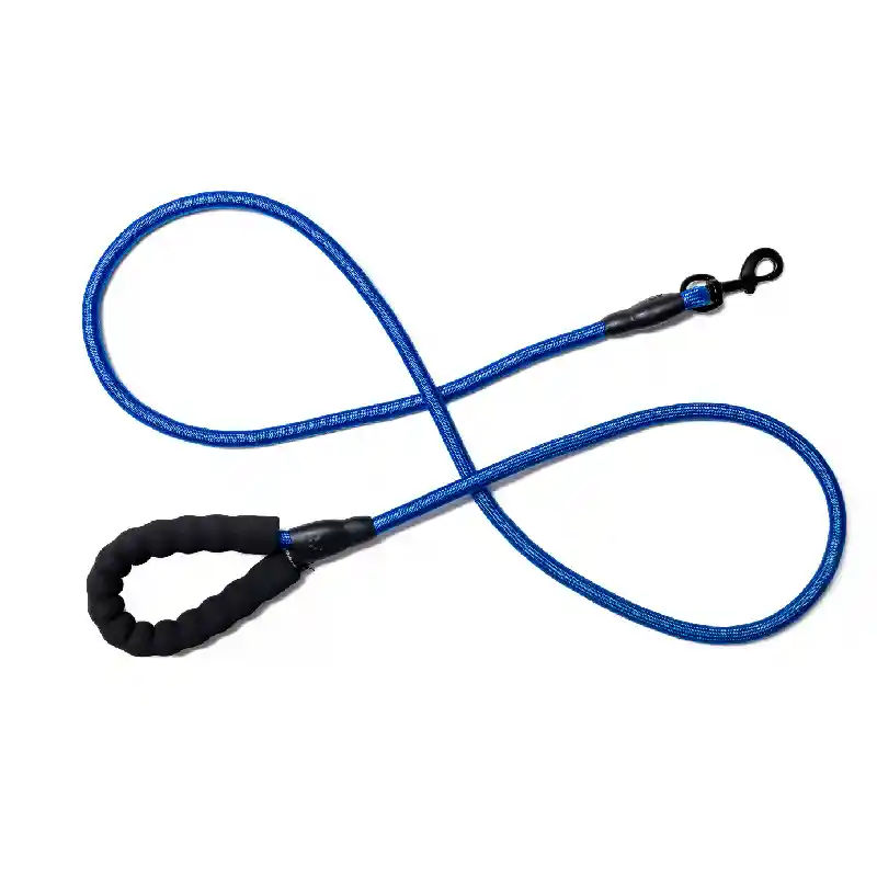 Blue Rope Leash 6'