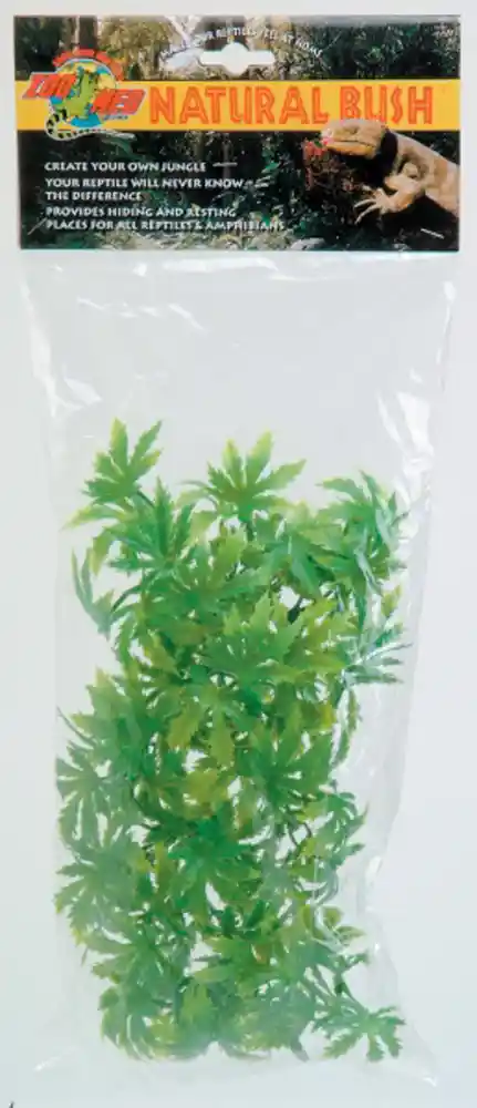 Natural Bush Mexican Phyllo Small