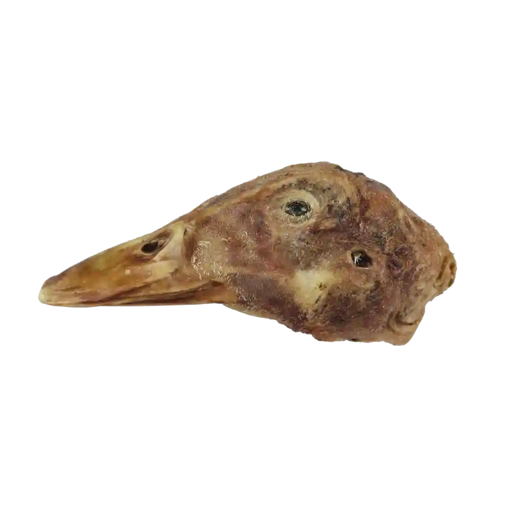 Freeze Dried Duck Heads