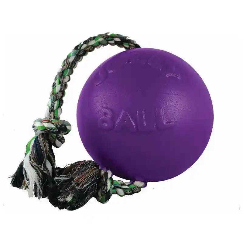 Romp N Roll Purple 4.5in