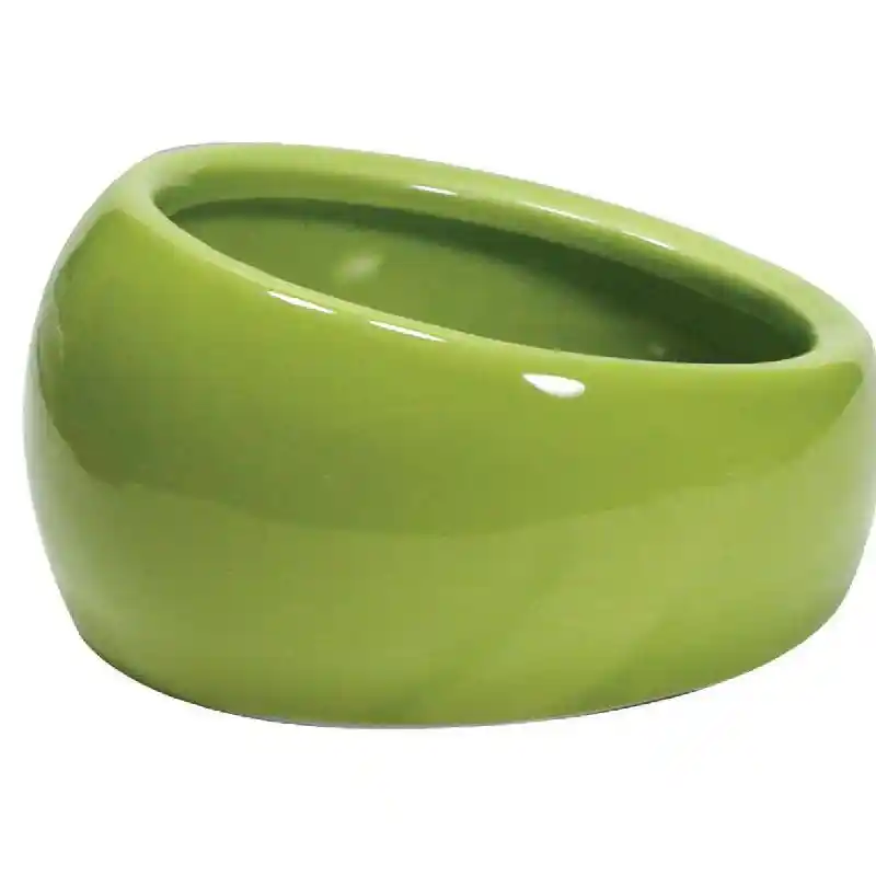Living World Ergonomic Dish Green Small
