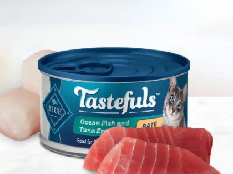Blue Taste Cat Fish tuna pate 5.5z