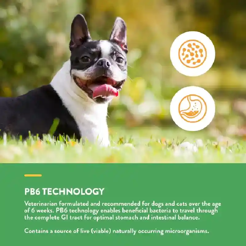 Advanced Probiotics & Enzymes Soft Chews 70ct