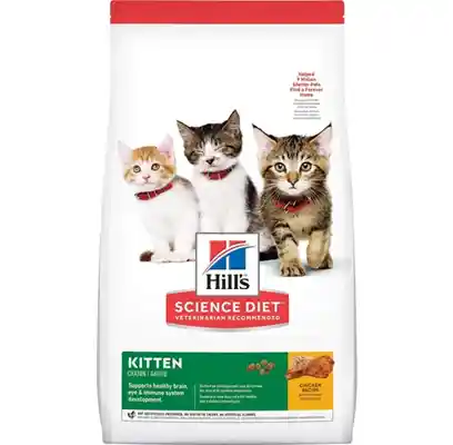 SD Fe Kitten 3.5 7123