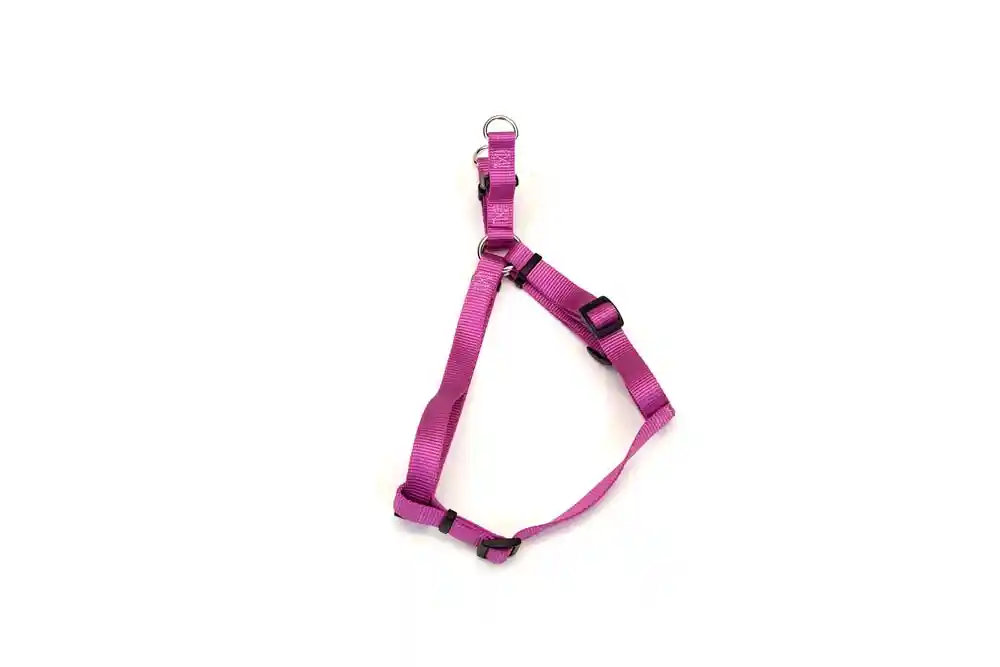Step In Harness Small Orchid