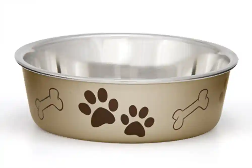 Bella Bowl Champagne Large