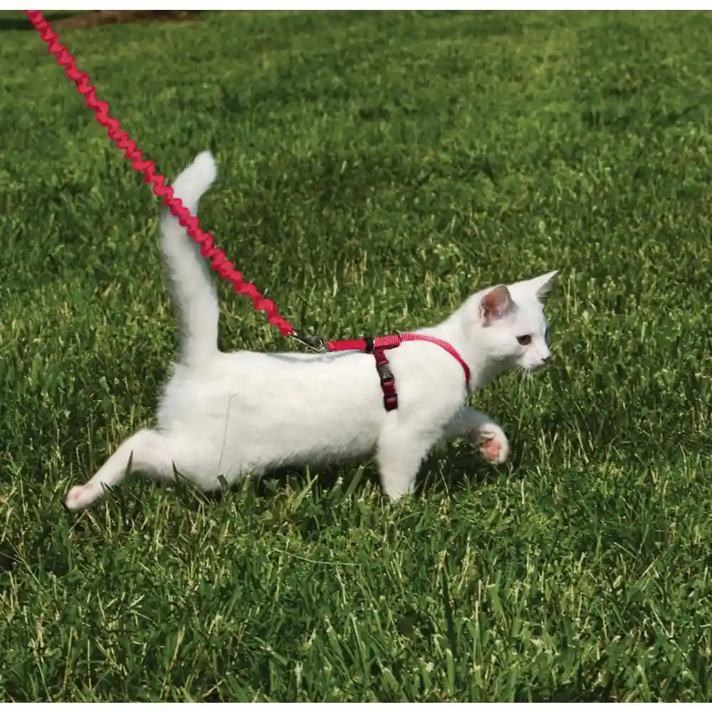 Come W/ Me Kitty Lg Red