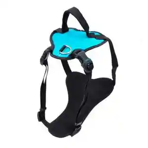 1" Lrg Inspire Harn Aqua
