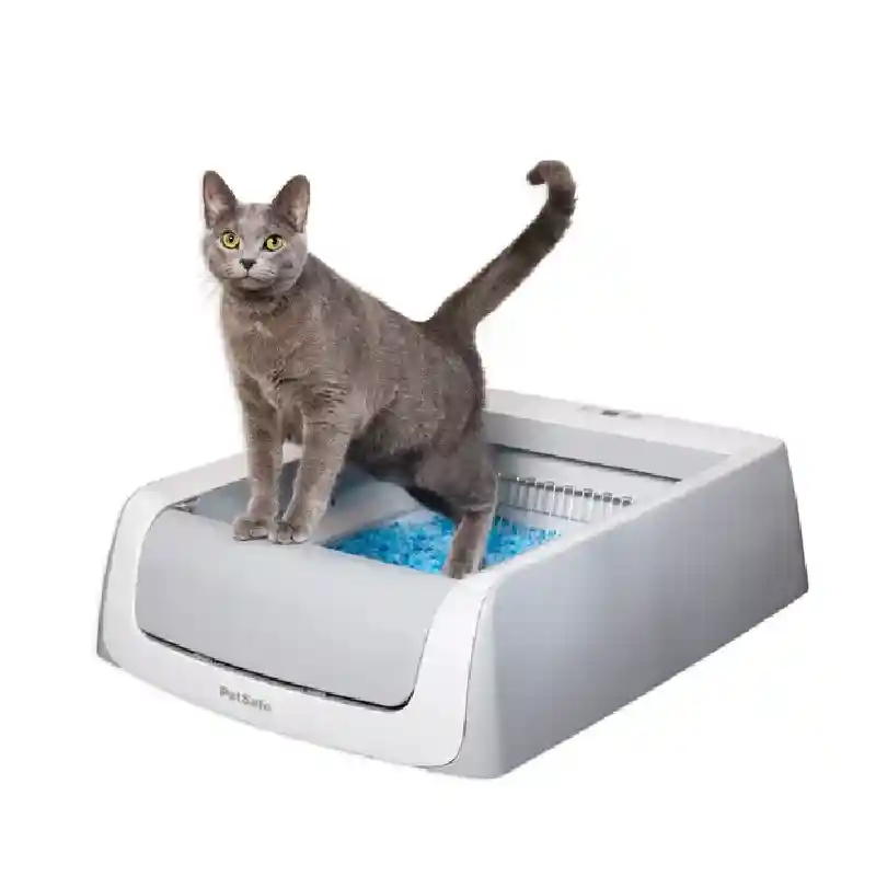 Scoopfree Cat Litter Box