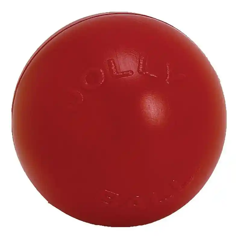 Push N Play Red 10in